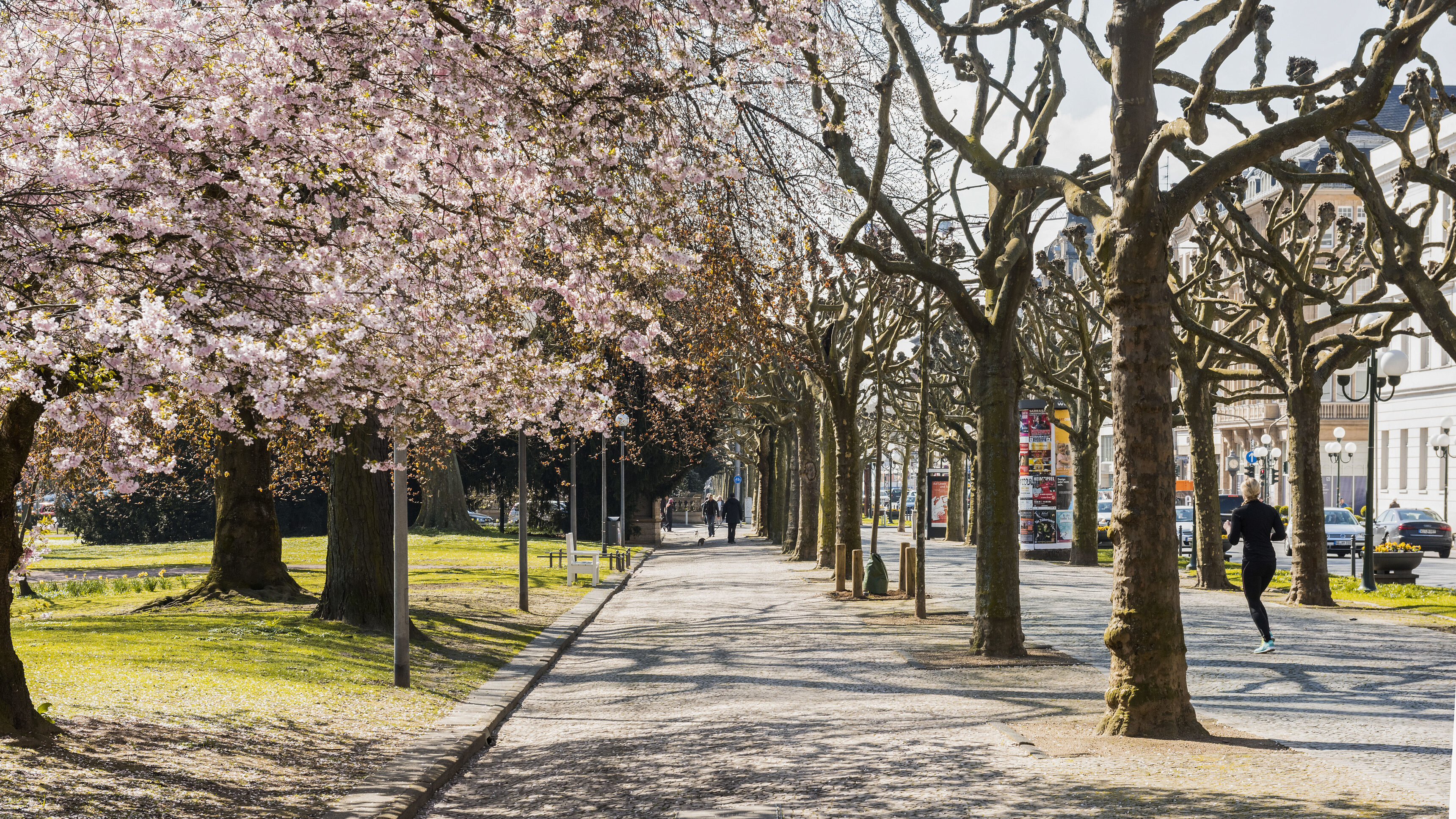 Wilhelmstrasse Wiesbaden