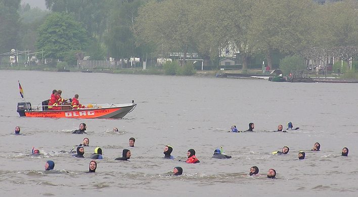 Anschwimmen der Taucher im Rhein: Taucherinnen und Taucher im Wasser