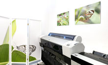 Epson Drucker 9800 und 3880
