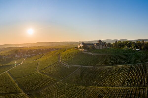 Vue aérienne avec un drone dans le Rheingau près des vignobles du château Johannisberg entre Eltville et Rüdesheim sur le Rhin, Hesse Allemagne