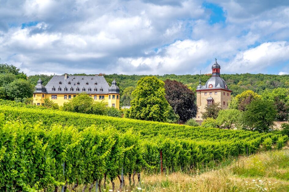 Vollrads Castle, Geisenheim, Rheingau, Germany
