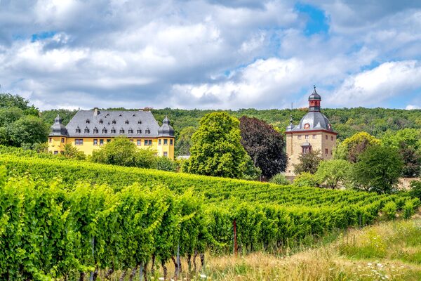 Schloss Vollrads, Geisenheim, Rheingau, Allemagne