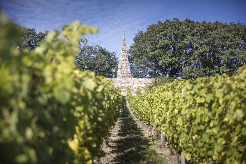 Goethe stone in vineyards
