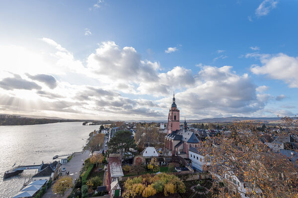 Le château d'Eltville vu d'en haut