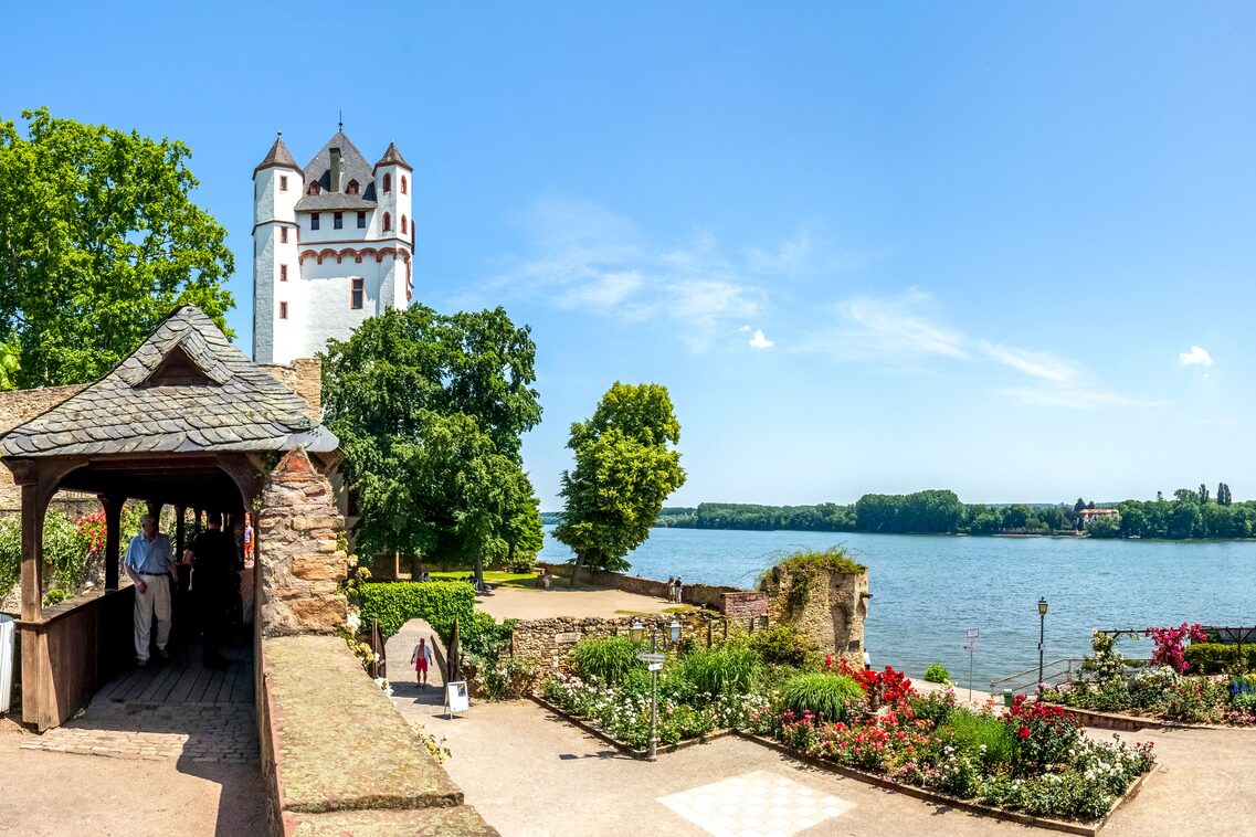Panorama, castle and Rhine promenade, Eltville am Rhein, Germany
