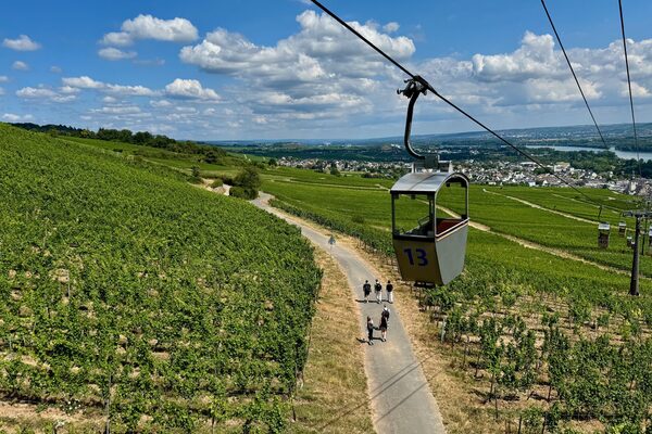 Gondole au-dessus des vignes