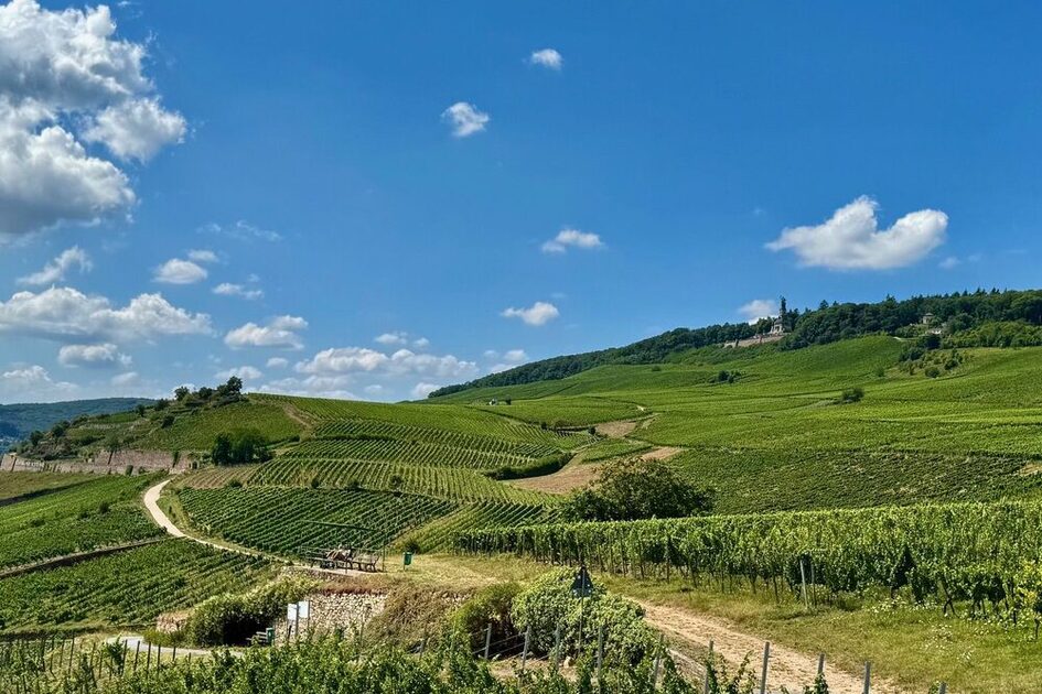 View of the Niederwalddenmal