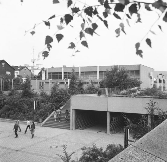 Diltheyschule, 1981