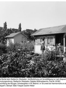 Schrebergarten in Wiesbaden-Biebrich, ca. 1964