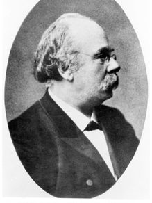 Wilhelm Heinrich von Riehl, um 1870