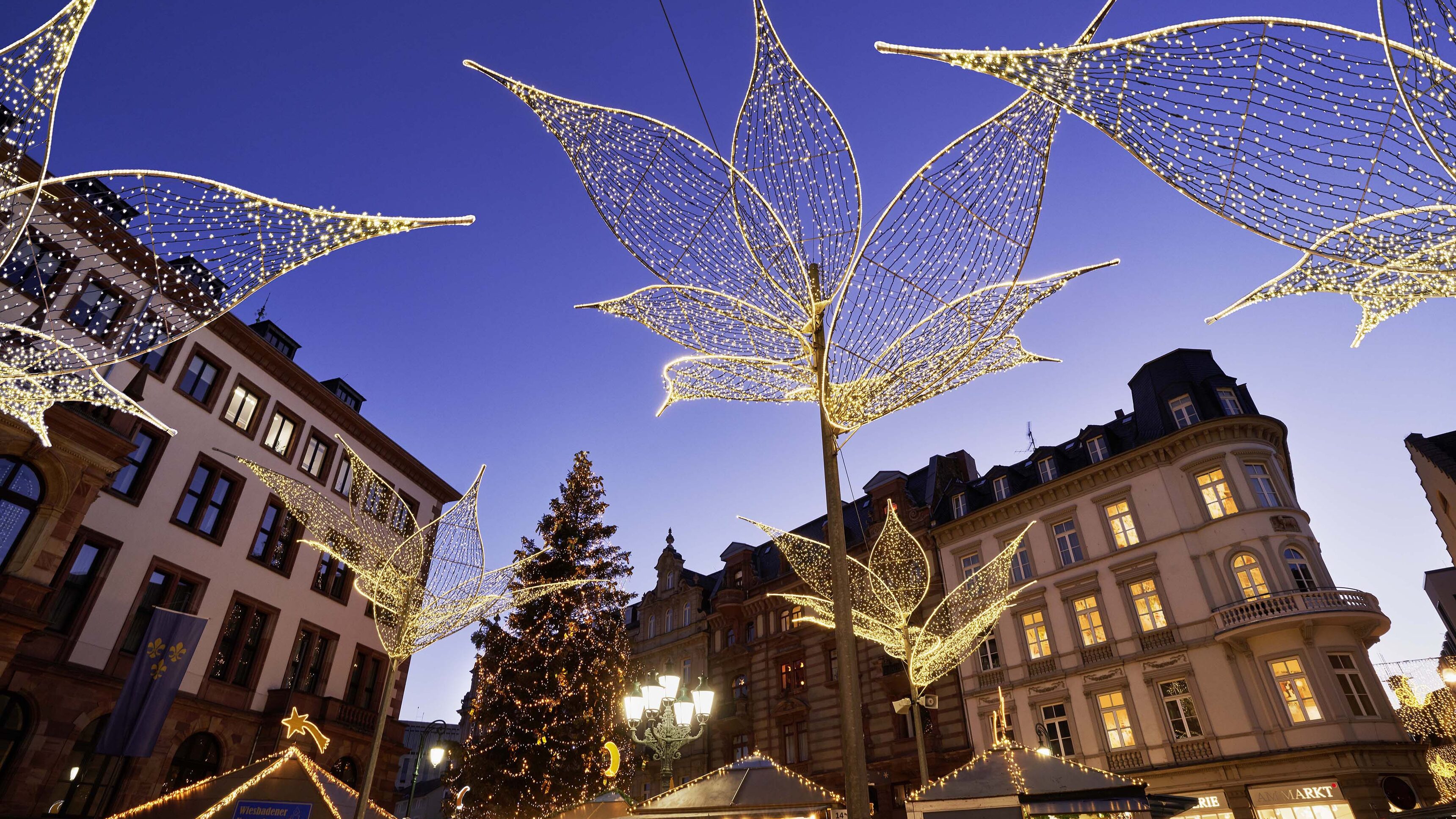 Verschiedene Buden geschmückt mit Lichterketten