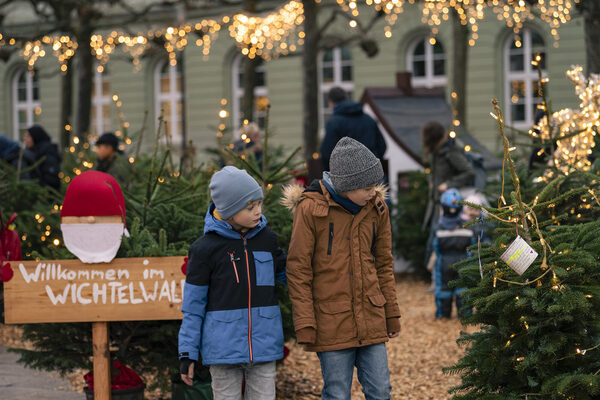 Zwei Jungen stehen neben Weihnachtsbäumen