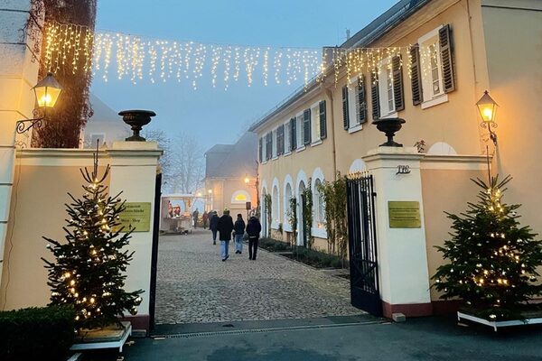 Schlosseingang mit Weihnachtsbäumen