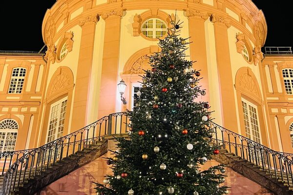 Schloss mit Weihnachtsbaum davor
