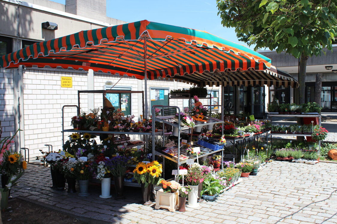 Weekly market in Mainz-Kostheim