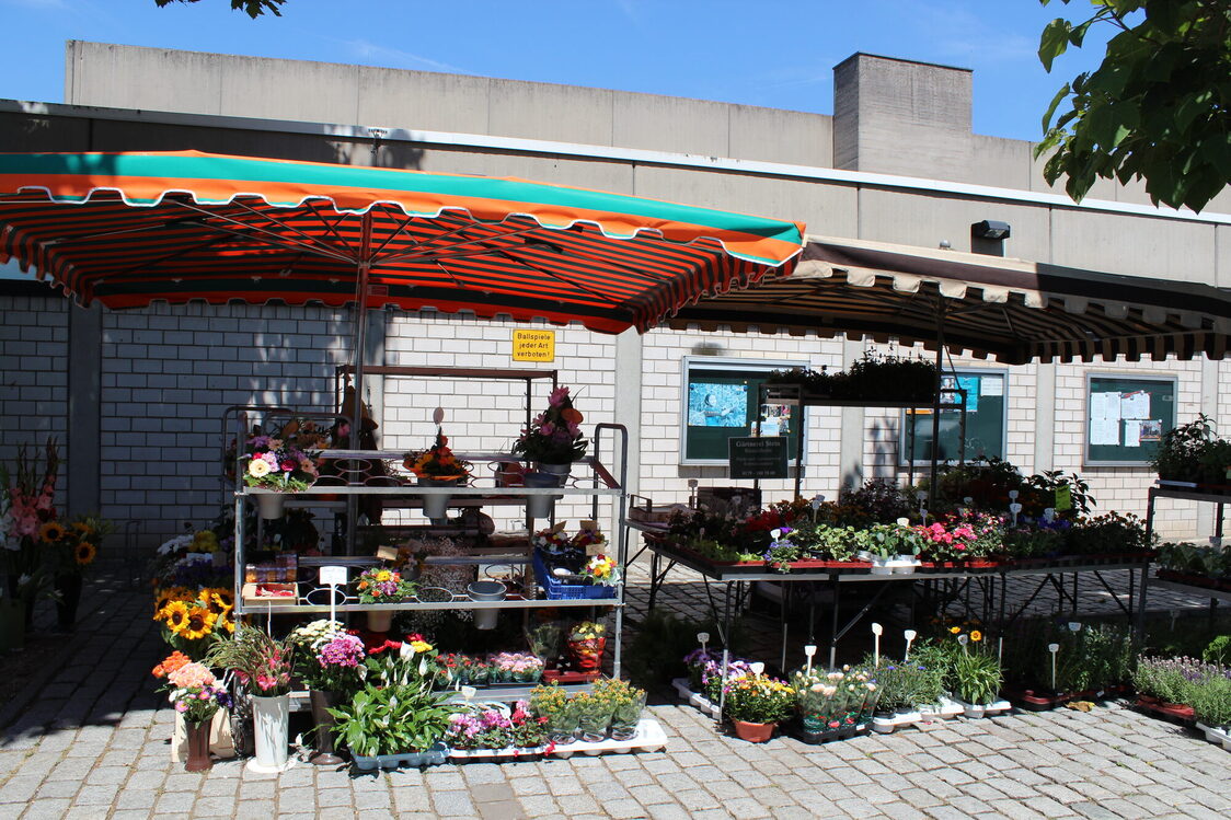 Weekly market in Mainz-Kostheim
