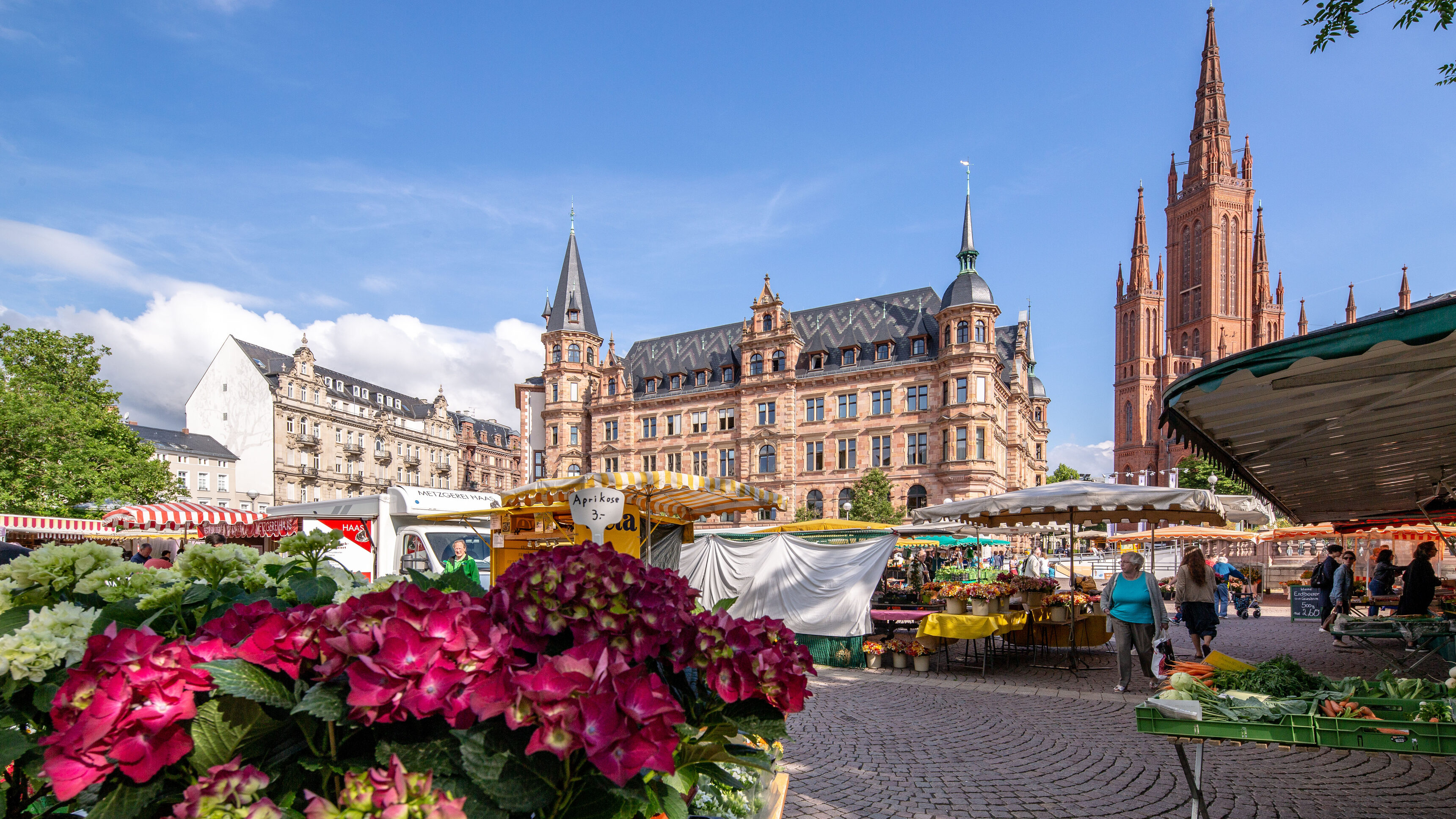 Wochenmarkt am Marktplatz