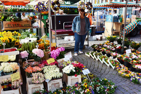 Güngör-Kattwinkel