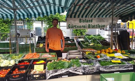 Gärtnerei Blattlaus - Obst und Gemüse