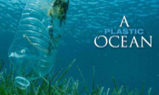 Plakat A Plastic Ocean