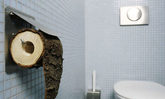Toilettenpapier aus Holz