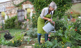 Frau beim Gartenwässern