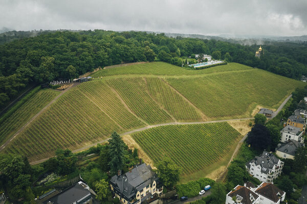 Neroberg: 500 Jahre lebendige Weinbaugeschichte in Wiesbaden