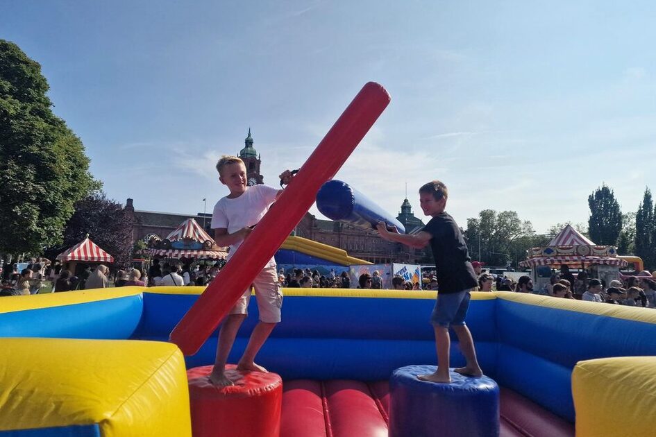 Sommerwiese in den Reisinger Anlagen