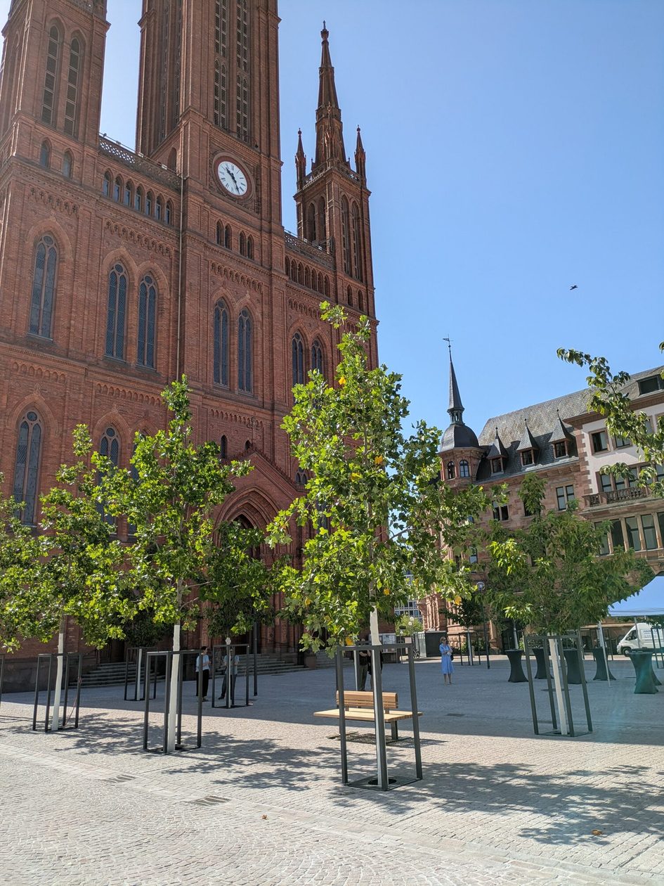 Auf dem Foto ist der Platz vor der Marktkirche zu sehen, im Vordergrund sieht man die Bäume und im Hintergrund die Kirche.