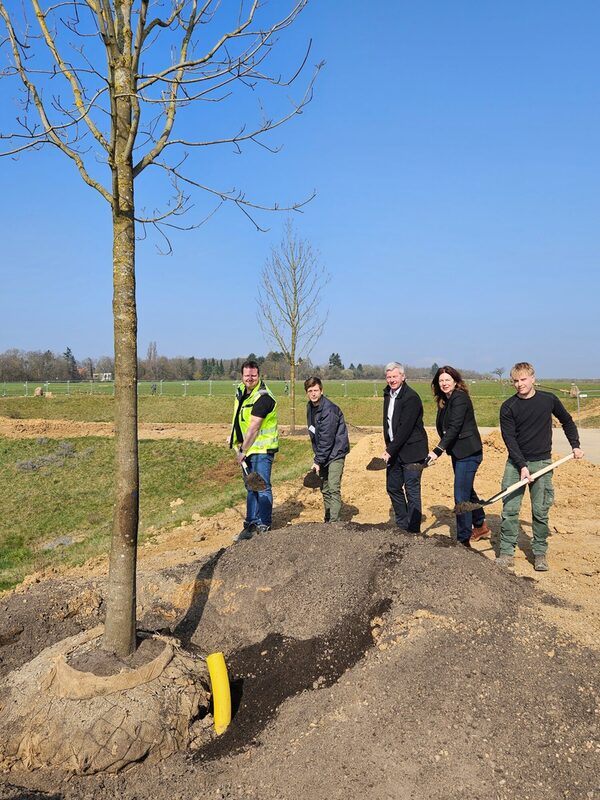 Auf dem Foto sind fünf Personen zu sehen, die mit Schaufeln in der Hand vor einem Erdhügel und einem Baum stehen, der eingepflanzt werden soll.