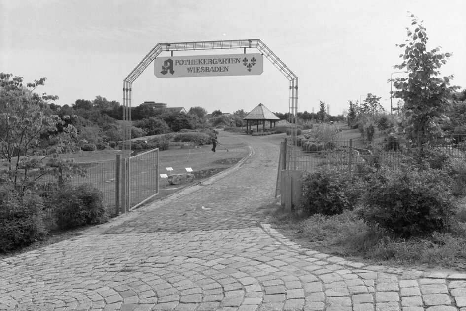 Eingang zum Apothekergarten, 1986