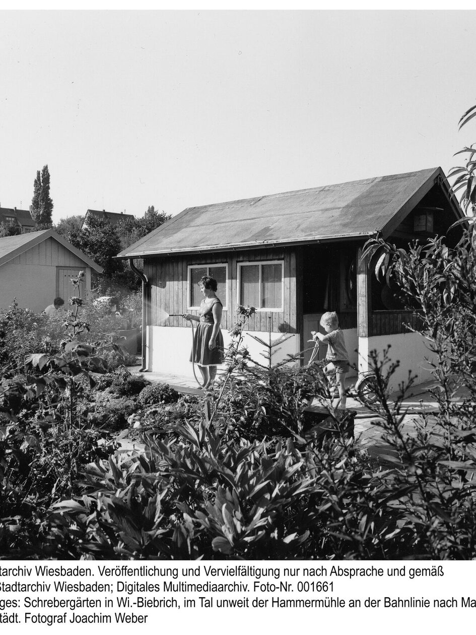 Schrebergarten in Wiesbaden-Biebrich, ca. 1964