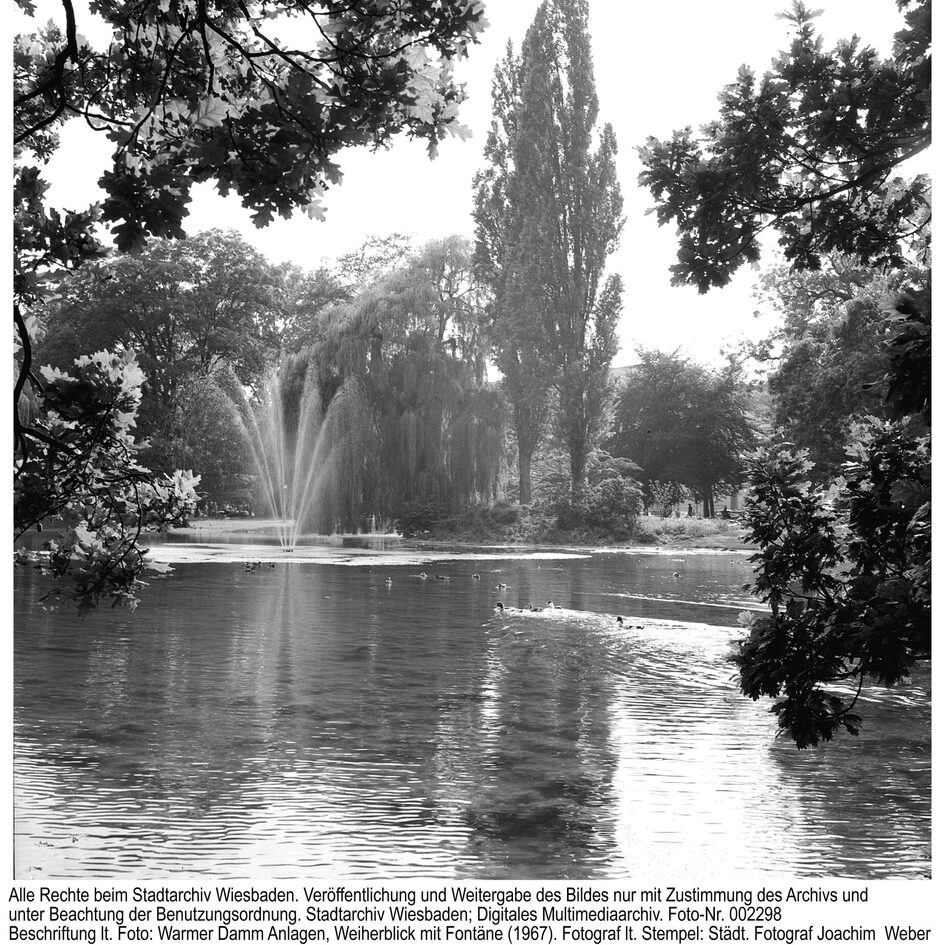 Weiher im Warmen Damm, 1967