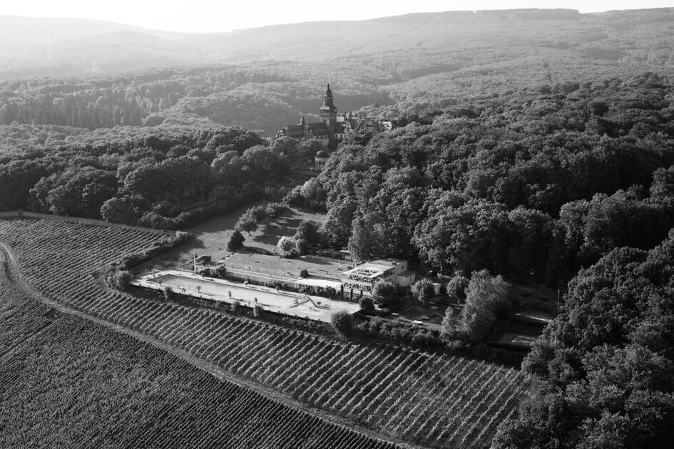 Miejska winnica pod Opelbad, 1964 r.