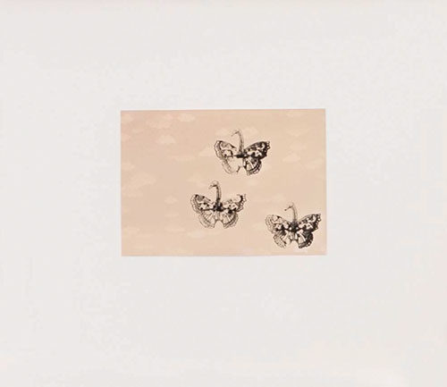 Diefenbach, Yvonne: Schmetterlingsschwäne