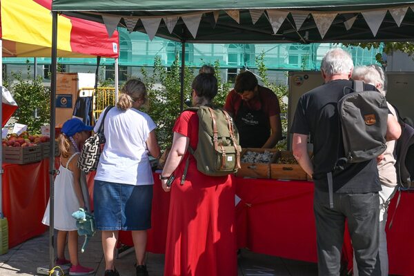 Mercato pomeridiano in Luisenplatz
