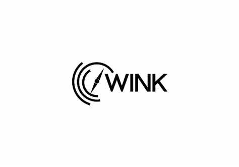 WINK e.V.