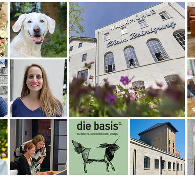 dickmaulrssler an eiben Dickmaulrssler-Stopp gegen adulte Kfer kaufen